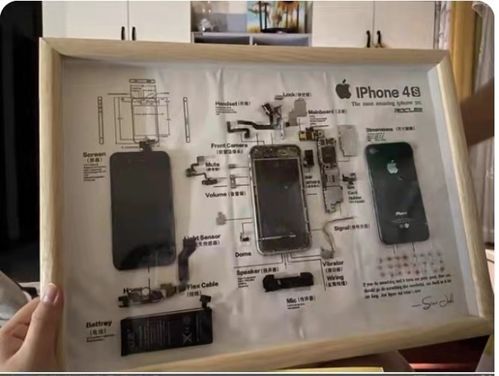 新興職業(yè)探秘 玩偶修復(fù)師、手機入殮師和貓糧品嘗師月入過萬的秘密